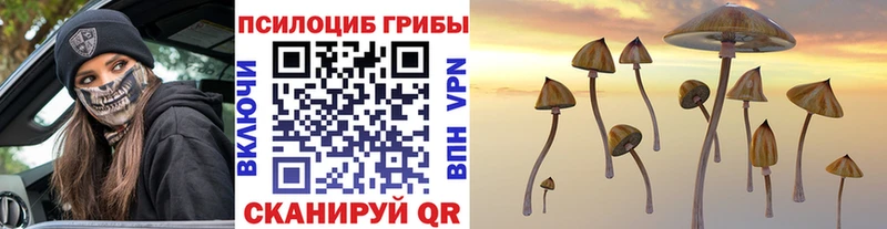 Купить  Миньяр  Псилоцибиновые грибы Magic Shrooms 